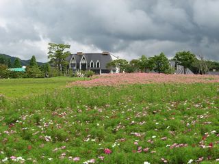 ���i�ʐ^���Ƃ낤