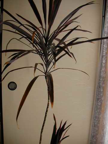 �C�܂�����L