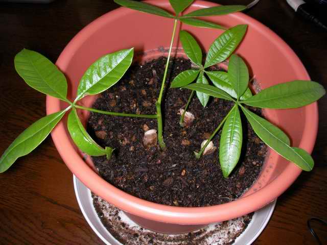 �C�܂�����L