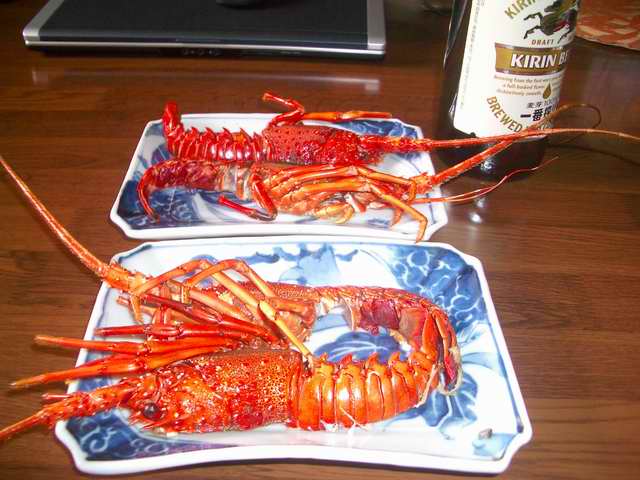 �C�܂�����L