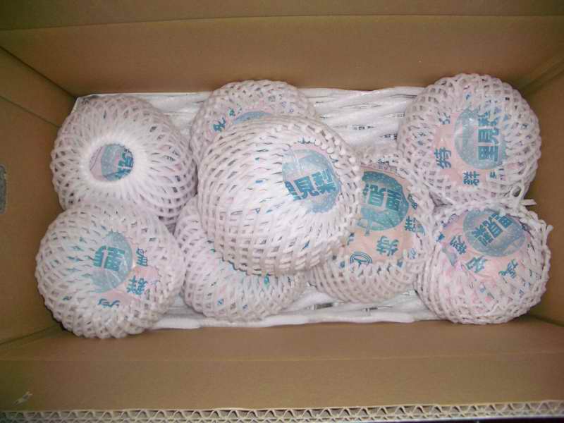 �C�܂�����L