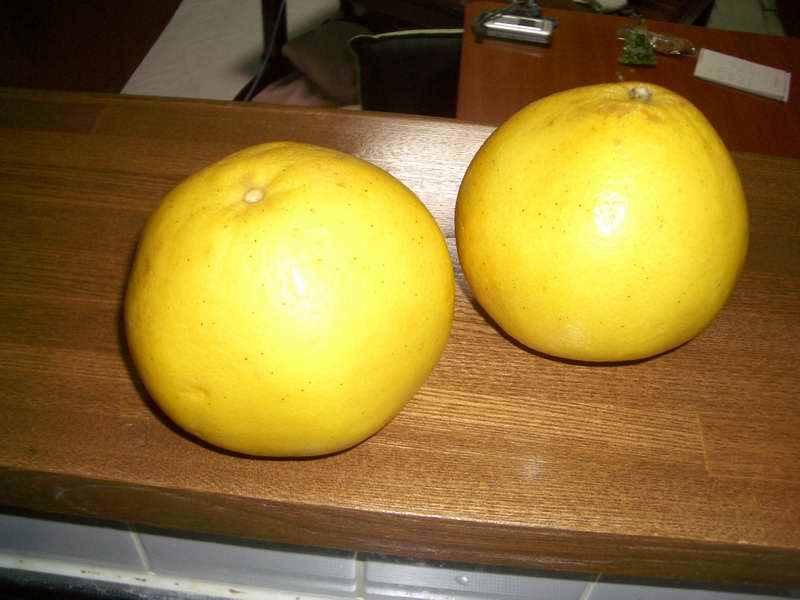 �C�܂�����L