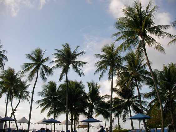 �C�܂�����L