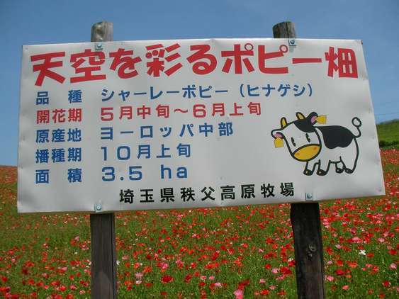 �C�܂�����L