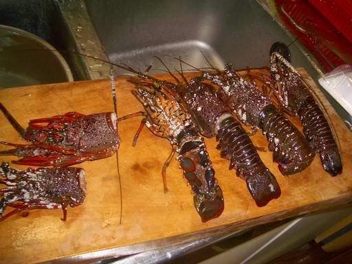 �C�܂�����L