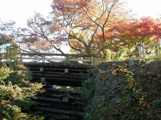 �C�܂�����L