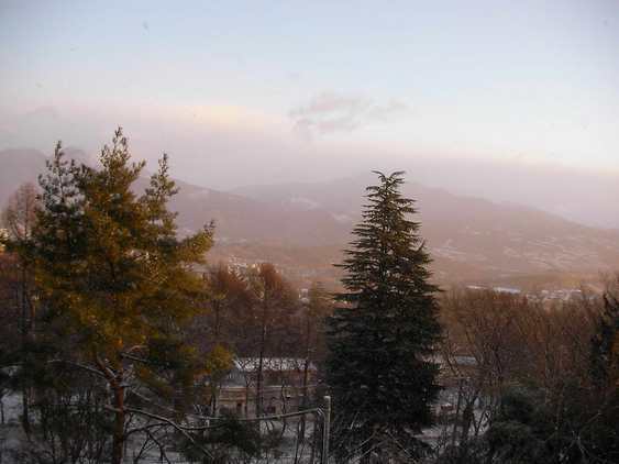 �C�܂�����L