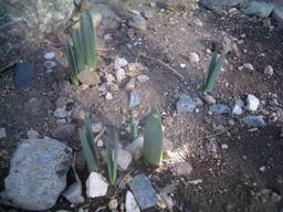 �C�܂�����L