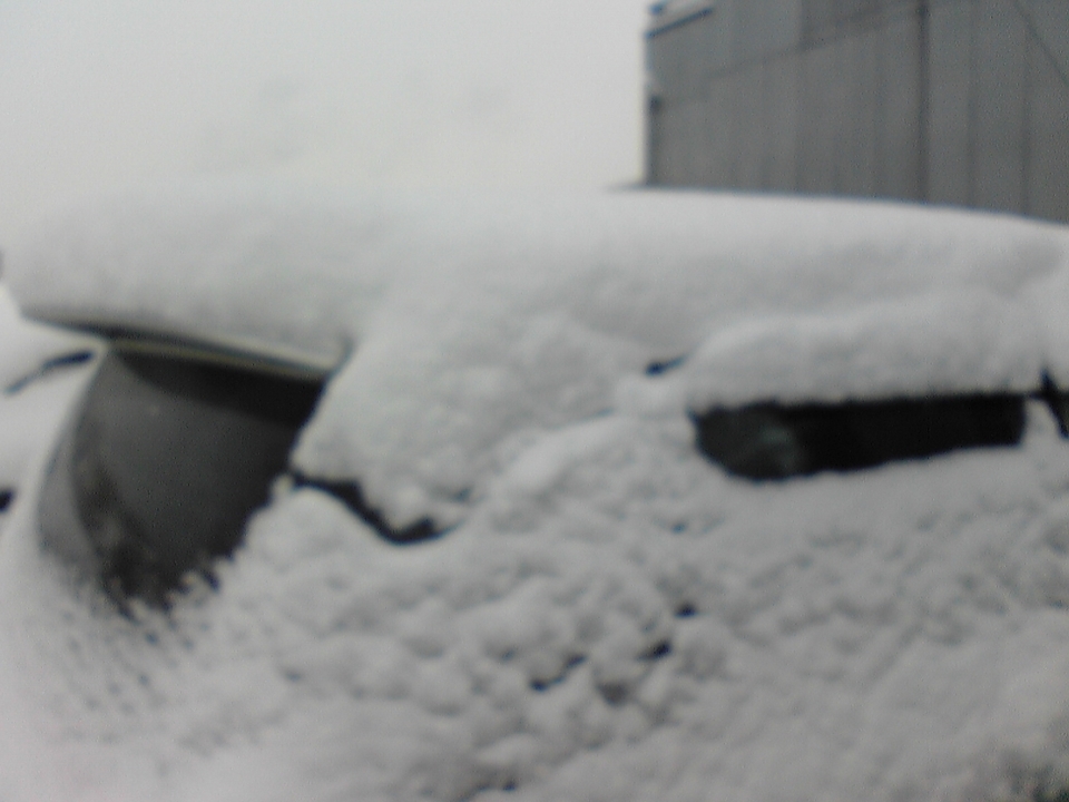 �C�܂�����L