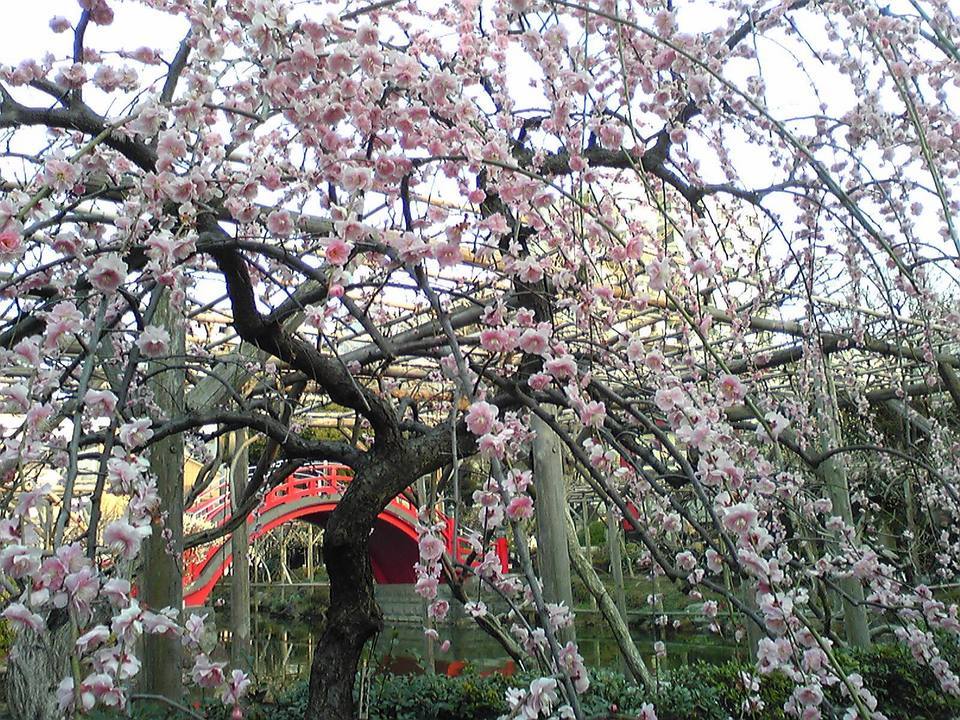 �C�܂�����L