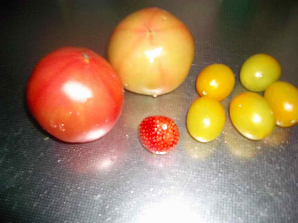 �C�܂�����L