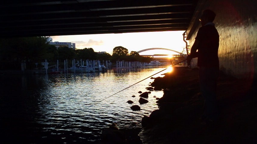 �C�܂�����L