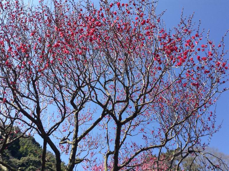 �C�܂�����L