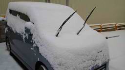 �C�܂�����L