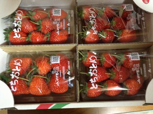 �C�܂�����L