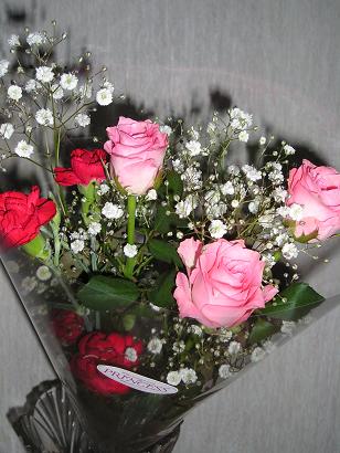 ���ƒ�̉ԂƎČ��E��