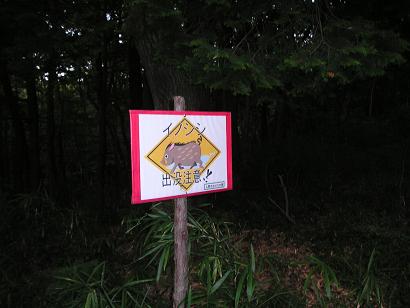 ���ƒ�̉ԂƎČ��E��