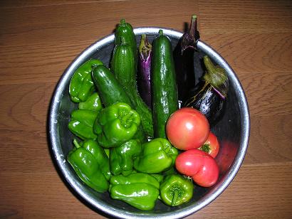 ���ƒ�̉ԂƎČ��E��