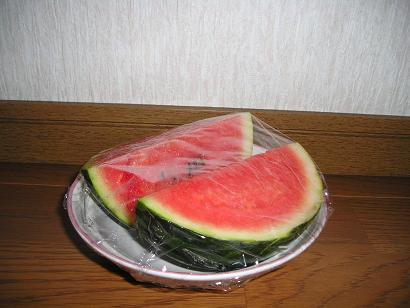 ���ƒ�̉ԂƎČ��E��