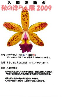 ���ƒ�̉ԂƎČ��E��