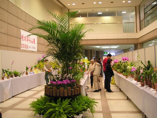 ���ƒ�̉ԂƎČ��E��