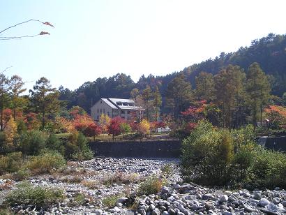 ���ƒ�̉ԂƎČ��E��