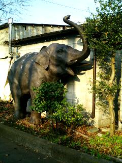 ���ƒ�̉ԂƎČ��E��