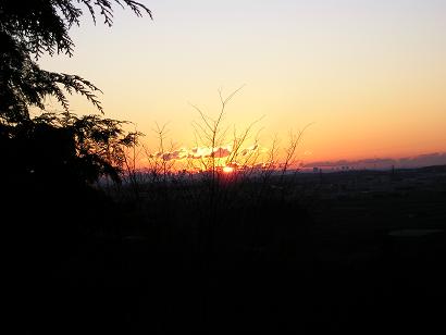 ���ƒ�̉ԂƎČ��E��