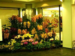 ���ƒ�̉ԂƎČ��E��