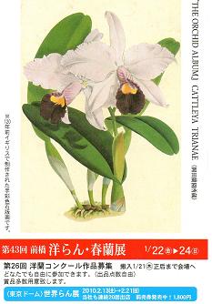 ���ƒ�̉ԂƎČ��E��