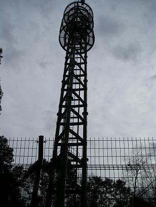 ���ƒ�̉ԂƎČ��E��