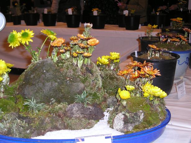 ���ƒ�̉ԂƎČ��E��