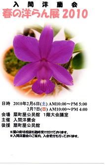 ���ƒ�̉ԂƎČ��E��