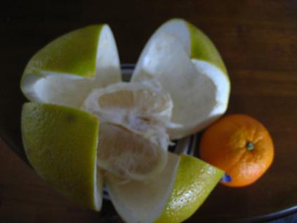 ���ƒ�̉ԂƎČ��E��