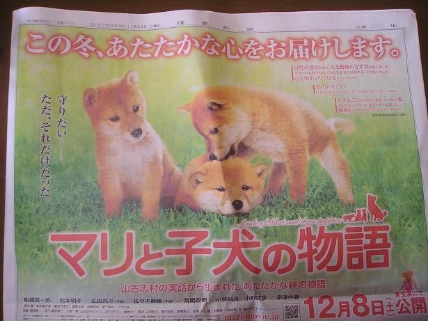 ���ƒ�̉ԂƎČ��E��