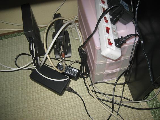 ���ƒ�̉ԂƎČ��E��