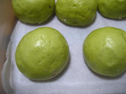 ���ƒ�̉ԂƎČ��E��