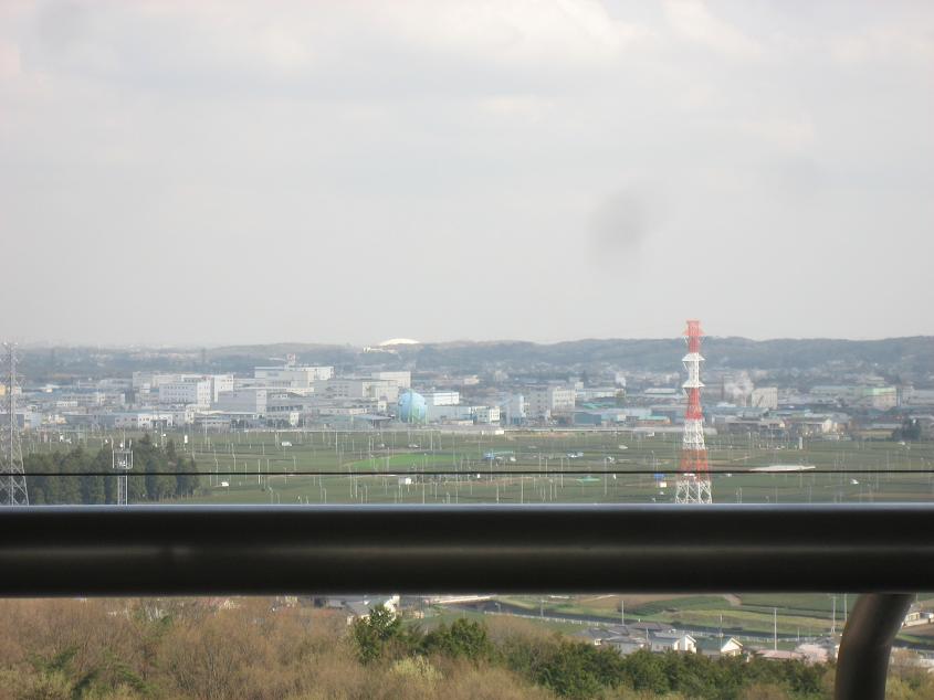 ���ƒ�̉ԂƎČ��E��