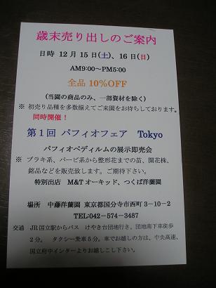 ���ƒ�̉ԂƎČ��E��