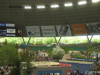 ���ƒ�̉ԂƎČ��E��