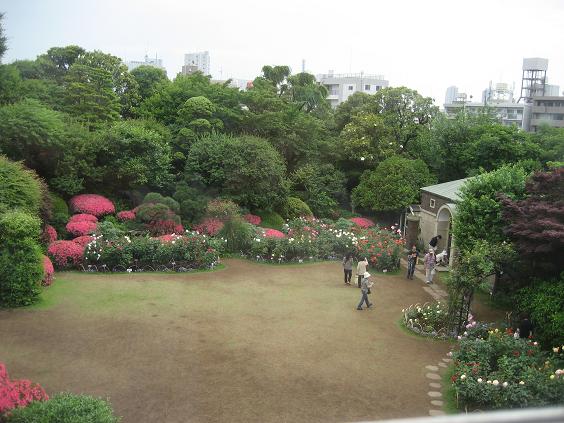 ���ƒ�̉ԂƎČ��E��