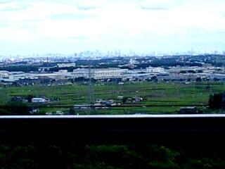 ���ƒ�̉ԂƎČ��E��