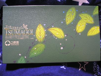 ���ƒ�̉ԂƎČ��E��