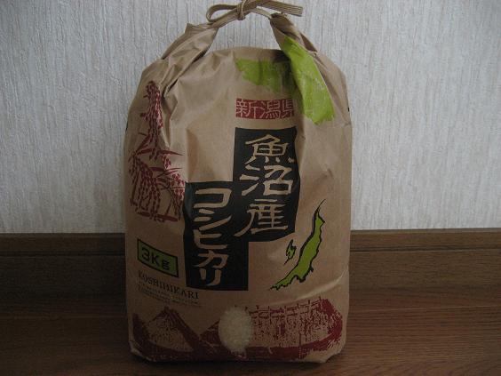 ���ƒ�̉ԂƎČ��E��