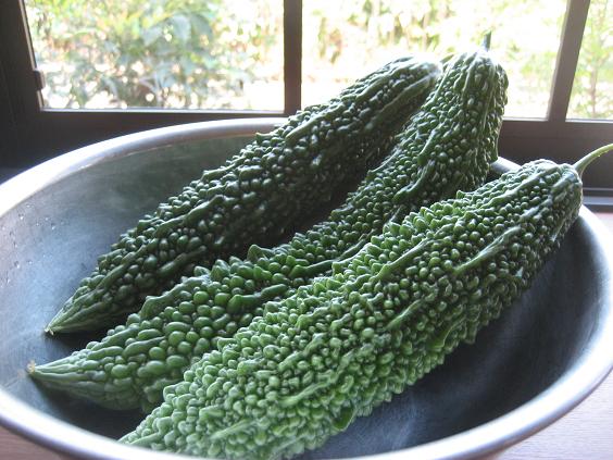 ���ƒ�̉ԂƎČ��E��