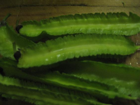 ���ƒ�̉ԂƎČ��E��