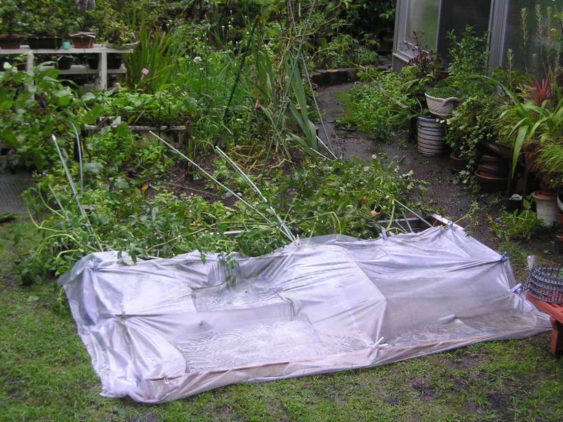 ���ƒ�̉ԂƎČ��E��