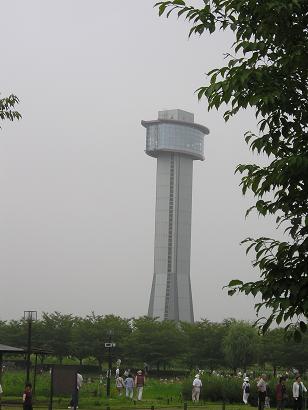 ���ƒ�̉ԂƎČ��E��