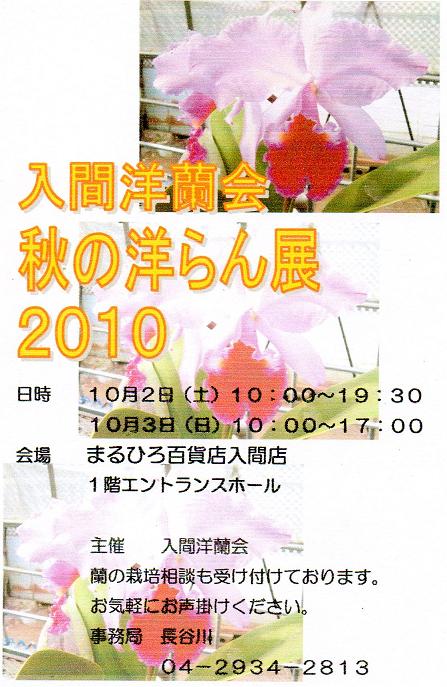 ���ƒ�̉ԂƎČ��E��