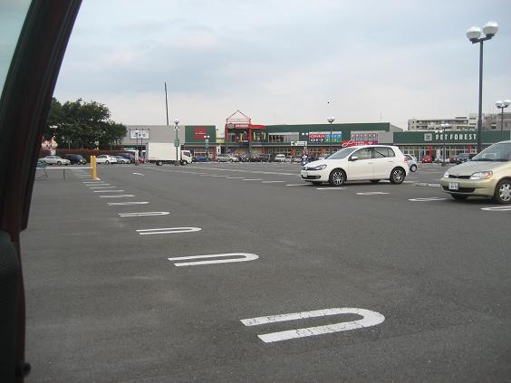 ���ƒ�̉ԂƎČ��E��